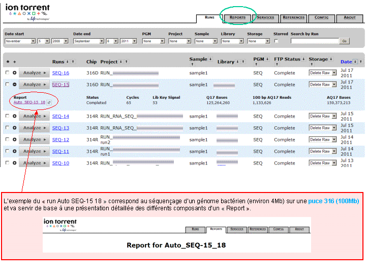 torrent binary options